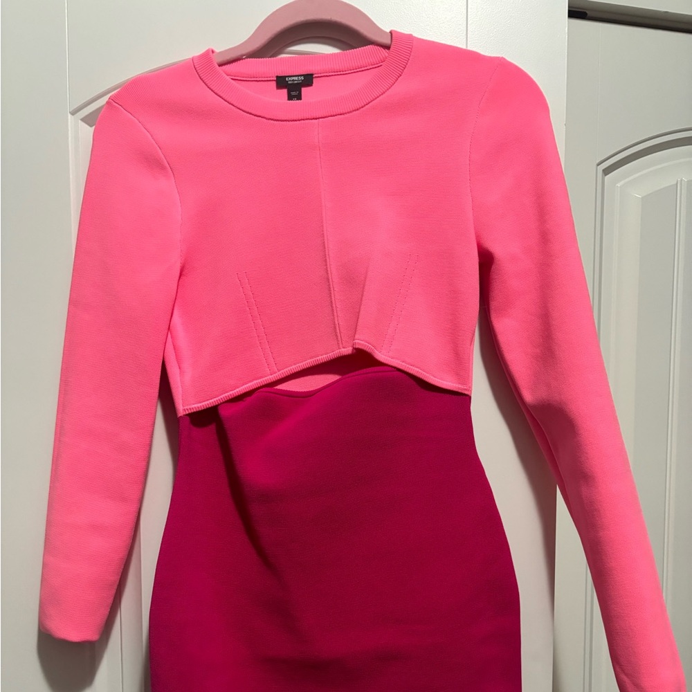 Express Bodycon dress